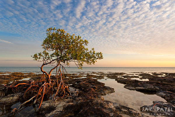 Florida Keys, Florida (FL), USA