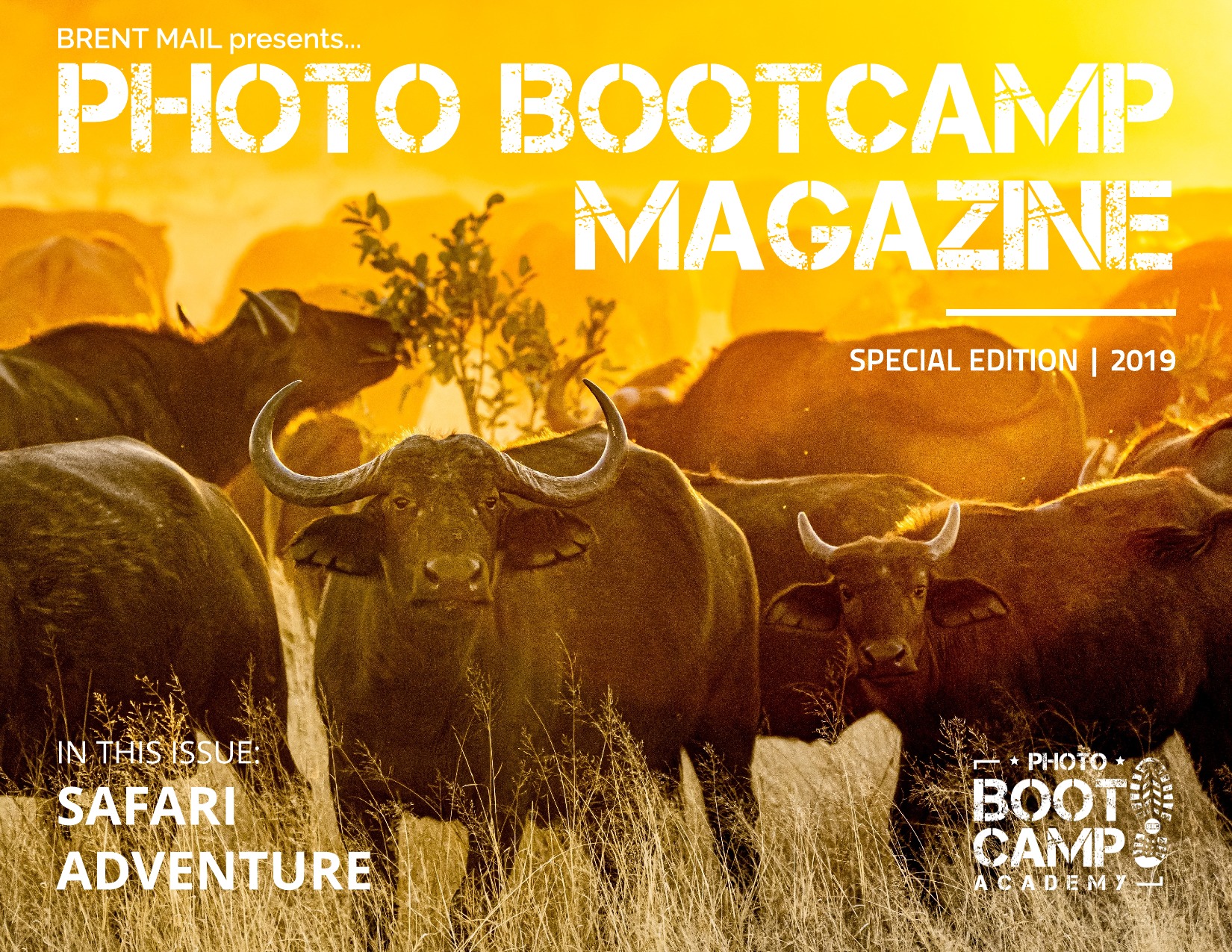 safari magazine november 2022