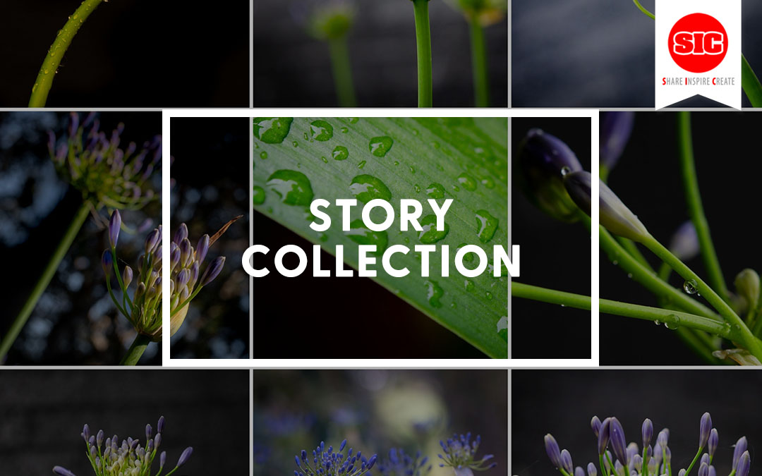 Story Collection – Telling A Story With Photos