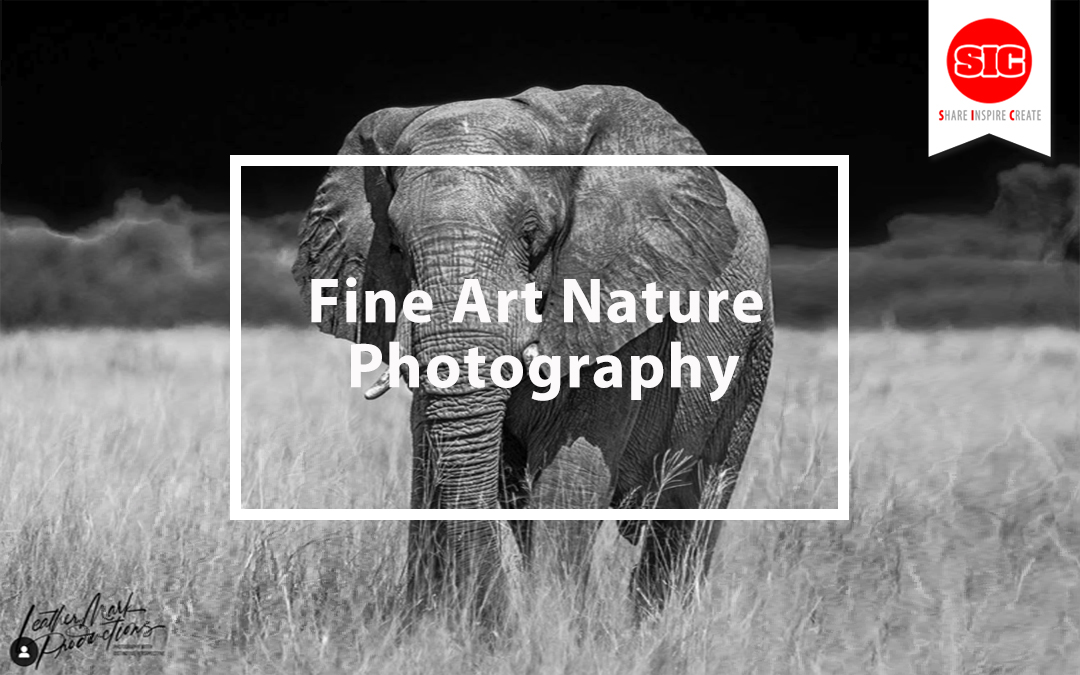 Fine Art Nature Photography Tips