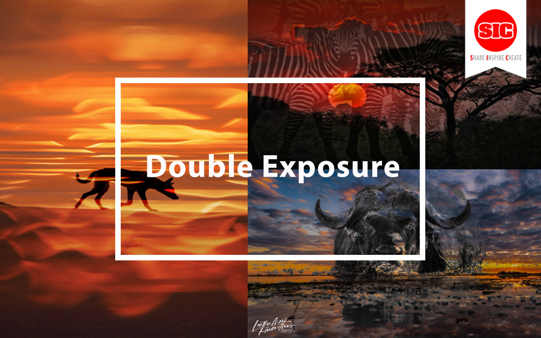 Mastering the Art of Double Exposure Photography